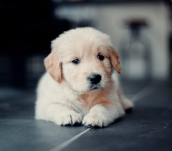 vander-films-aPvB8KMIh5w-unsplash